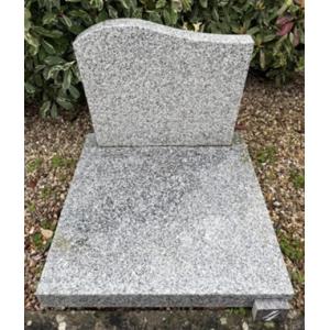 Cinéraire n°4 en TARN