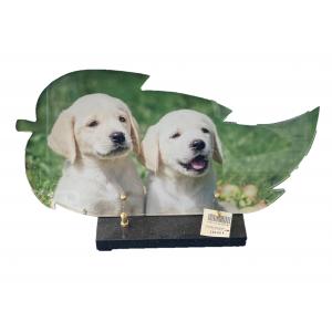 Plaque chiens